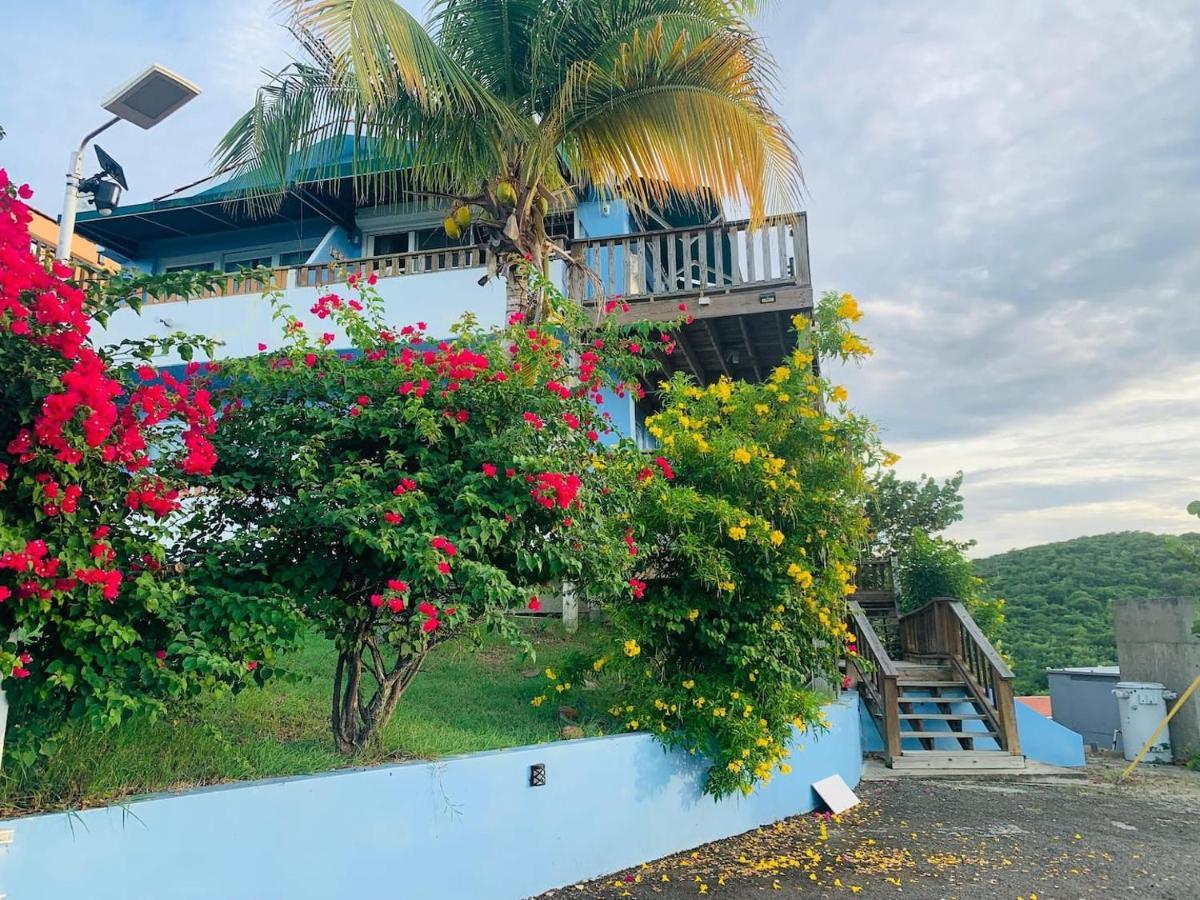 Coqui Beach Home, Culebra Кулебра Экстерьер фото