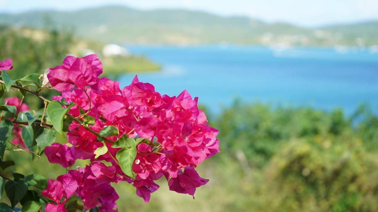 Coqui Beach Home, Culebra Кулебра Экстерьер фото