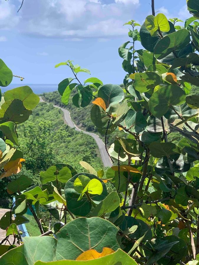 Coqui Beach Home, Culebra Кулебра Экстерьер фото