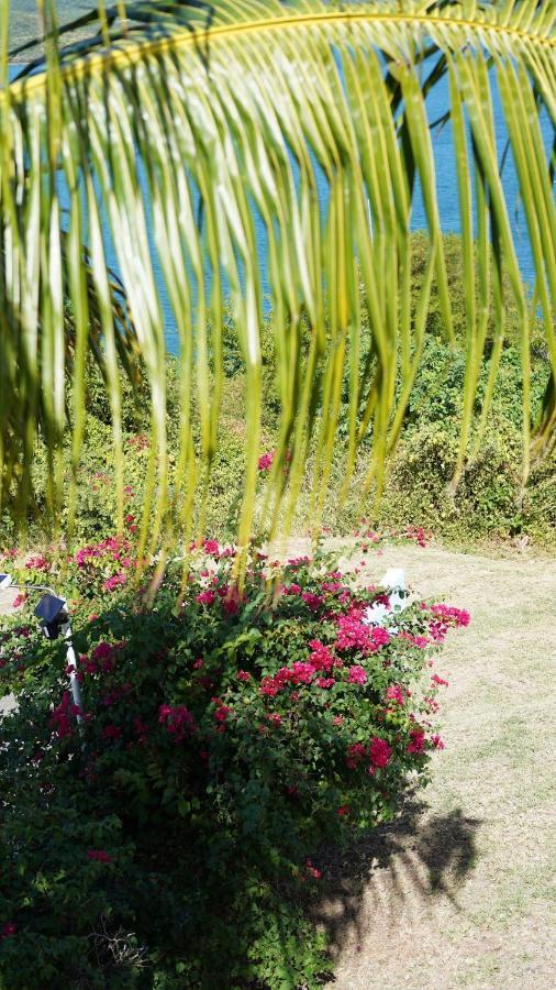 Coqui Beach Home, Culebra Кулебра Экстерьер фото